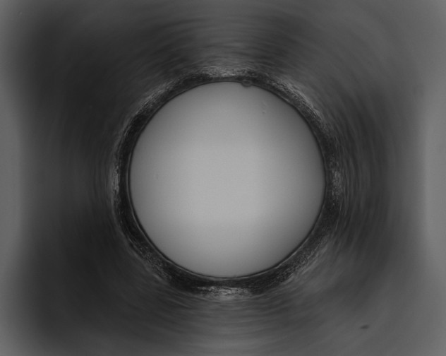 X0000095680539200801291159