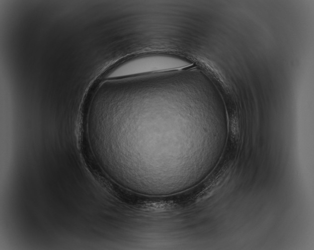 X0000095680540200801291159