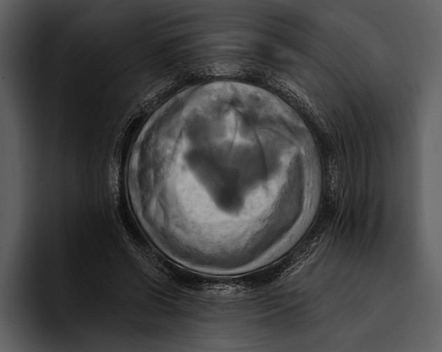 X0000095680542200801291159