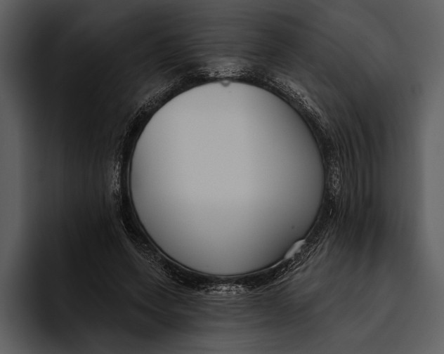 X0000095680543200801291159