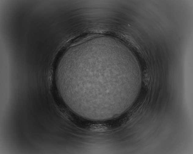 X0000095680544200801291159