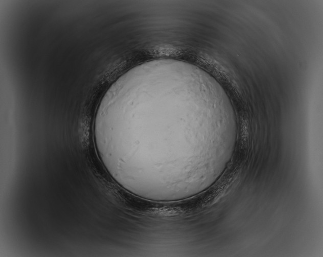 X0000095680545200801291159