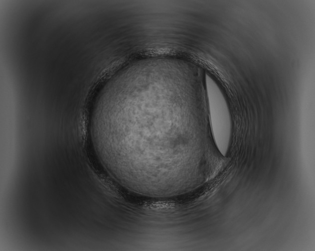 X0000095680546200801291159