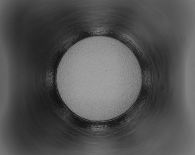 X0000095680549200801291159