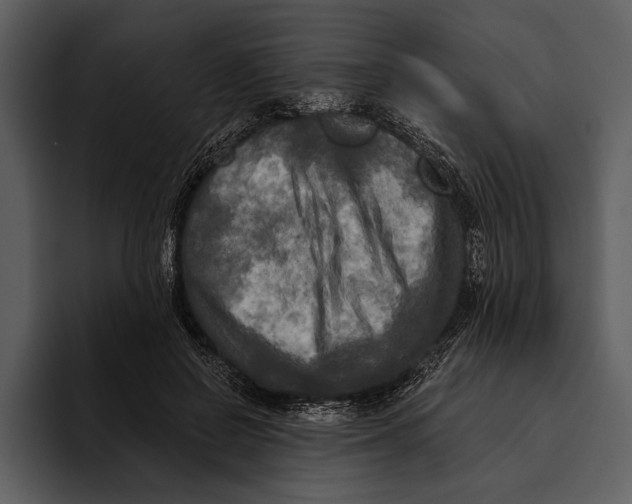 X0000095680550200801291159