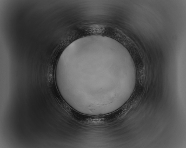 X0000095680553200801291159