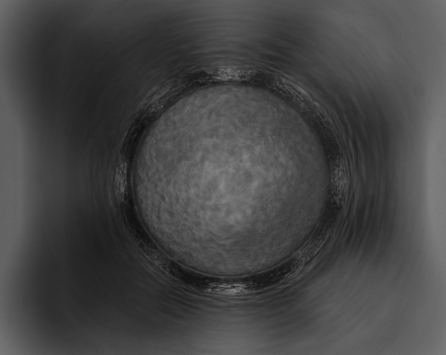 X0000095680554200801291159