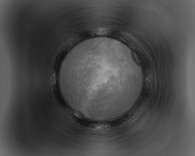 X0000095680555200801291159