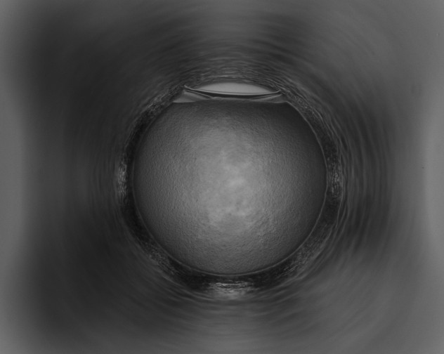 X0000095680556200801291159