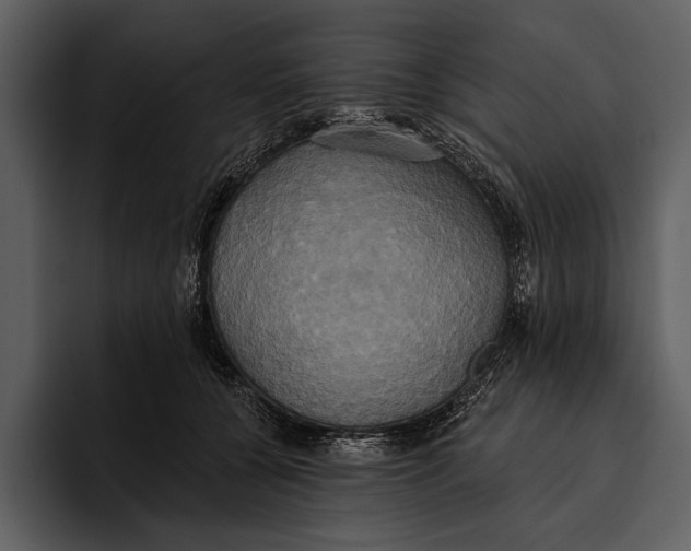 X0000095680560200801291159