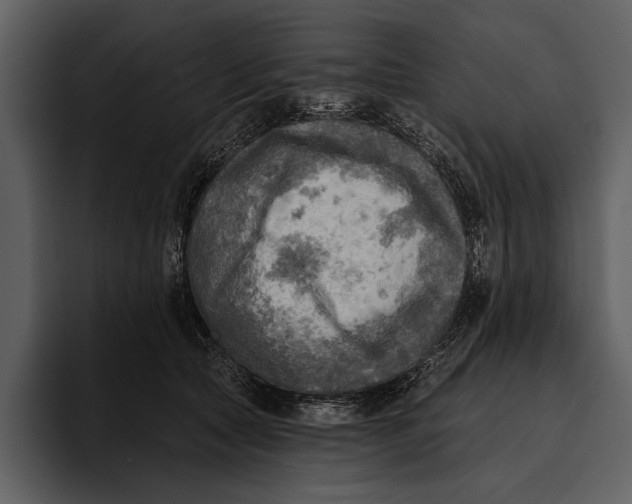 X0000095680561200801291159