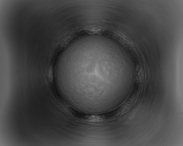 X0000095680562200801291159