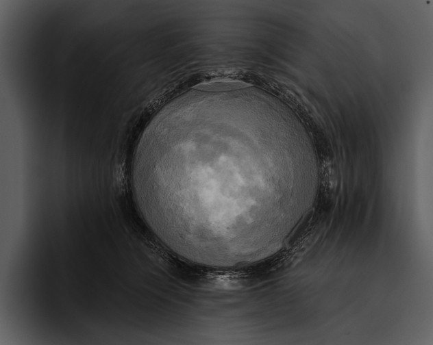 X0000095680564200801291159