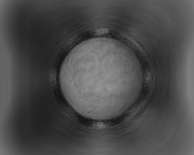 X0000095680565200801291159