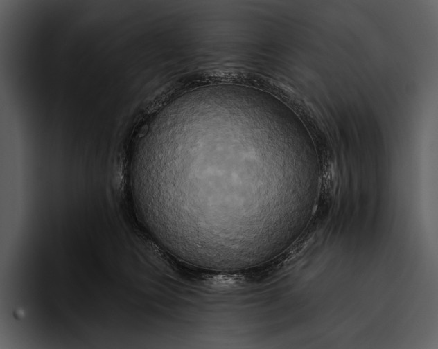 X0000095680566200801291159