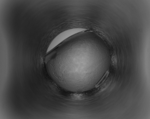 X0000095680570200801291159