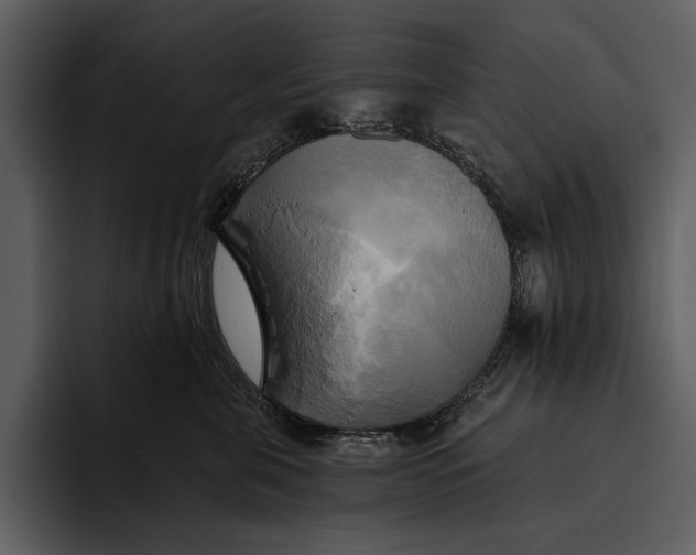 X0000095680571200801291159