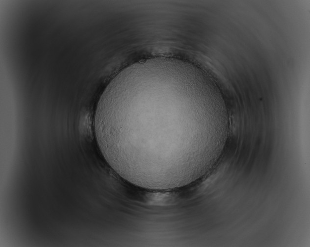 X0000095680575200801291159