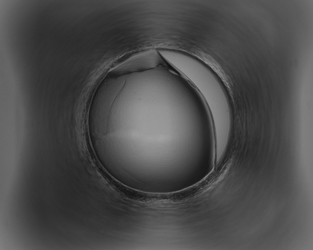 X0000095680577200801291159