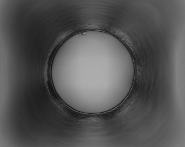 X0000095680578200801291159