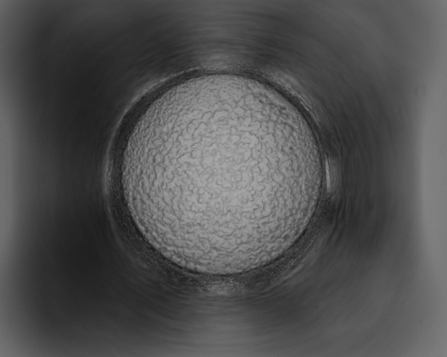 X0000095680579200801291159