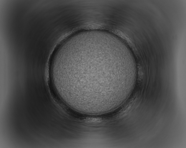 X0000095680582200801291159