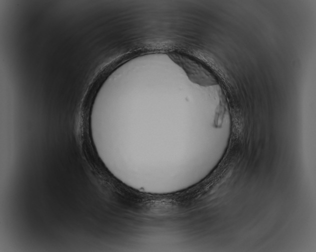 X0000095680583200801291159