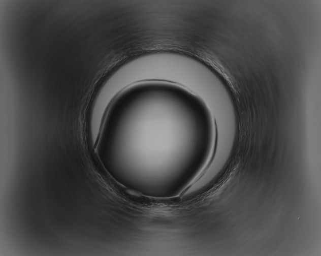 X0000095680585200801291159