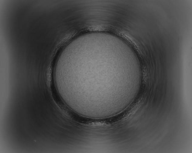 X0000095680586200801291159