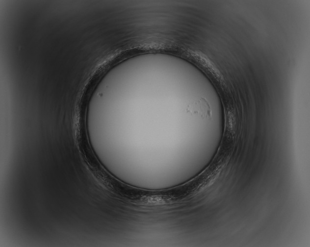 X0000095680588200801291159