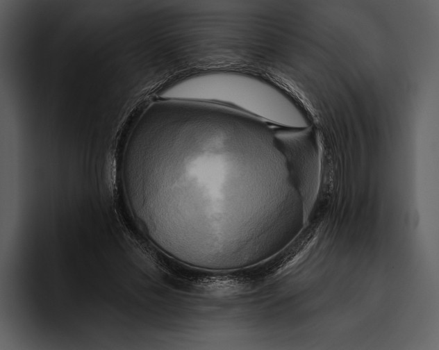 X0000095680589200801291158