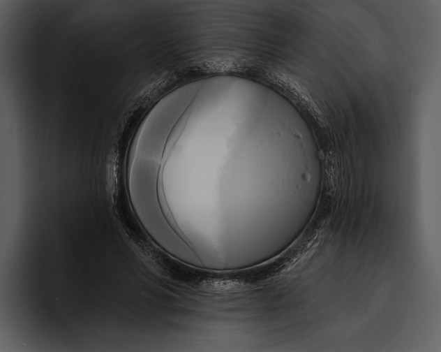 X0000095680590200801291158