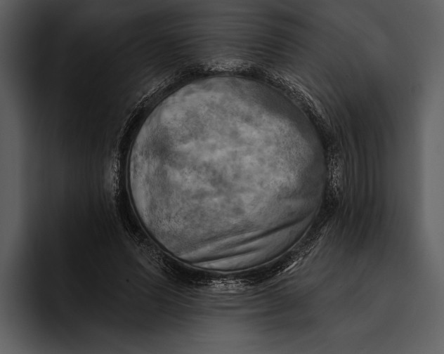 X0000095680591200801291158