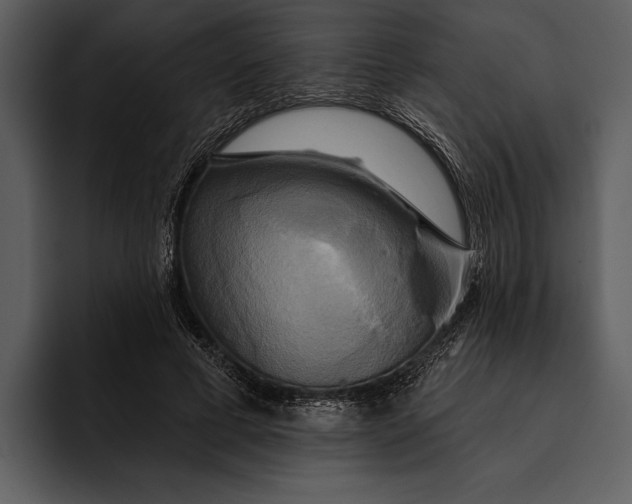 X0000095680593200801291158