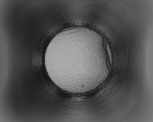 X0000095680595200801291158