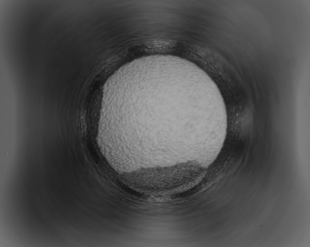 X0000095680599200801291158