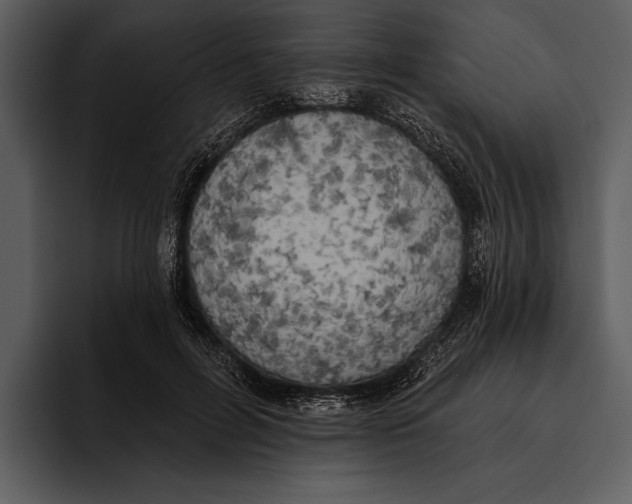 X0000095680600200801291158