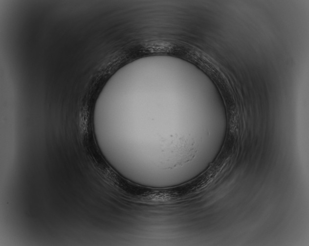 X0000095680604200801291158