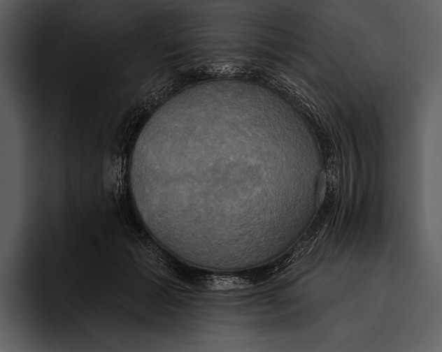 X0000095680605200801291158