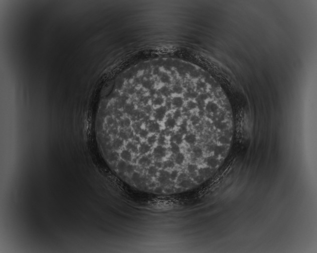 X0000095680608200801291158