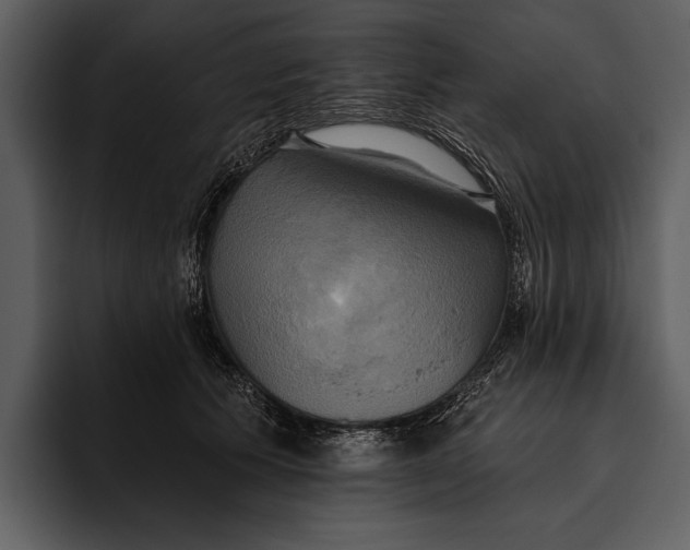 X0000095680609200801291158