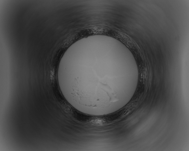 X0000095680610200801291158