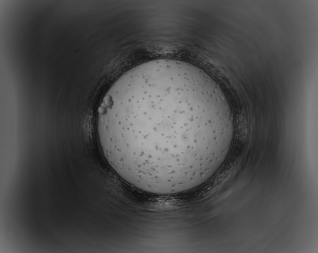 X0000095680612200801291158