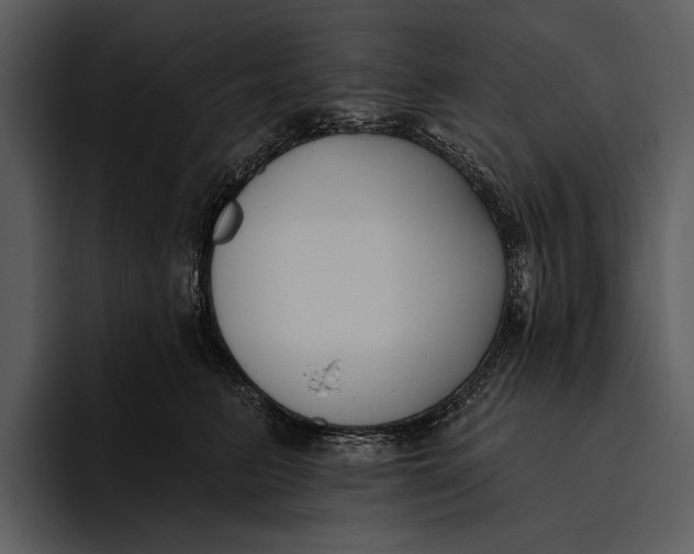 X0000095680615200801291158