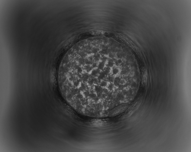 X0000095680616200801291158