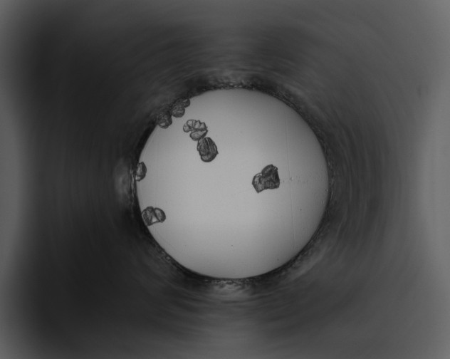 X0000095680624200801291158