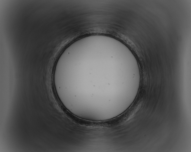 X0000095680625200801291157