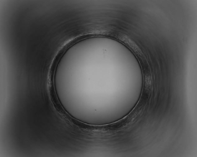 X0000095680628200801291157