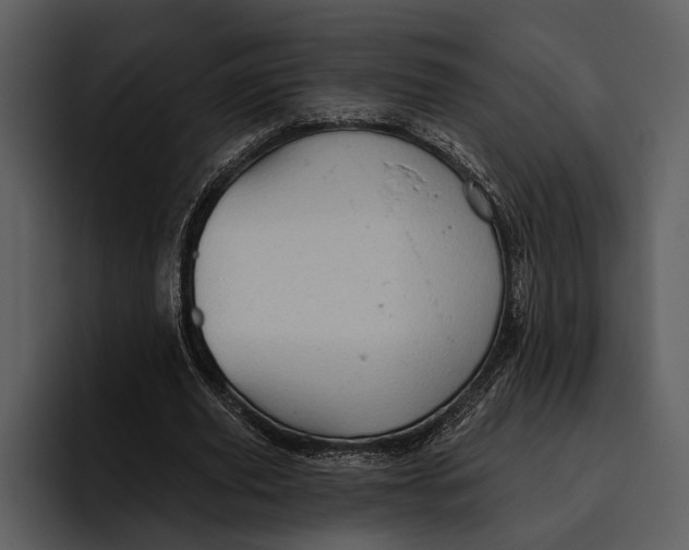 X0000095680629200801291157