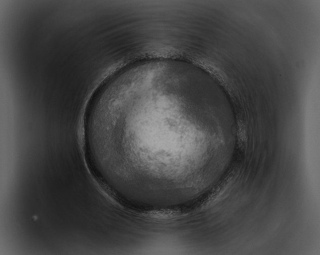 X0000095680630200801291157